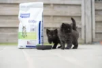 Virbac Cat Baby Pre Neutered dry food - Image 2
