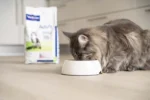 Virbac Adult Neutered – Dry Cat Food for Neutered Cats - Image 4