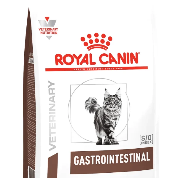 Royal Canin Gastrointestinal dry food for cat
