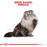 Royal Canin Persian Adult dry food for cats - Image 2