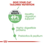 Royal Canin Digestive Care dry food for adult cats - Image 3