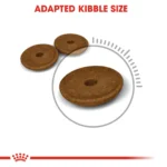 Royal Canin Digestive Care dry food for adult cats - Image 4