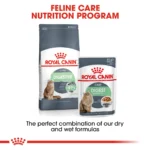 Royal Canin Digestive Care dry food for adult cats - Image 5