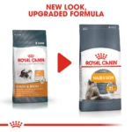 Royal Canin Hair & Skin Care Dry food for adult cats - Image 2