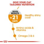 Royal Canin Hair & Skin Care Dry food for adult cats - Image 3