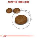 Royal Canin Hair & Skin Care Dry food for adult cats - Image 4