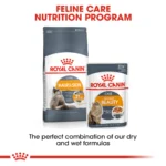Royal Canin Hair & Skin Care Dry food for adult cats - Image 5