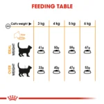 Royal Canin Hair & Skin Care Dry food for adult cats - Image 6