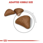 Royal Canin Hairball care dry food for adult cats - Image 4