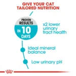Royal Canin Urinary care dry food for adult cats - Image 3
