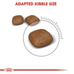 Royal Canin Urinary care dry food for adult cats - Image 4