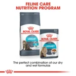 Royal Canin Urinary care dry food for adult cats - Image 5