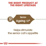 Royal Canin Ageing +12 dry food for Senior cats 2 Kg - Image 3