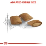 Royal Canin Ageing +12 dry food for Senior cats 2 Kg - Image 4