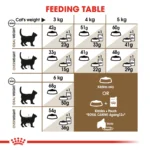 Royal Canin Ageing +12 dry food for Senior cats 2 Kg - Image 6