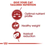 Royal Canin Fit 32 dry food for cats - Image 2