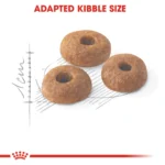 Royal Canin Fit 32 dry food for cats - Image 3