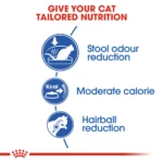 Royal Canin Indoor27 dry food for indoor adult cats - Image 3