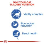 Royal Canin Indoor 7+ dry food for cats 1.5 Kg - Image 3