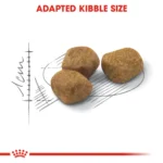 Royal Canin Indoor 7+ dry food for cats 1.5 Kg - Image 4