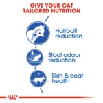 Royal Canin Indoor Long Hair dry food for Indoor long haired cats - Image 2
