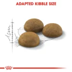 Royal Canin Indoor Long Hair dry food for Indoor long haired cats - Image 5
