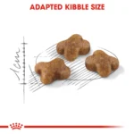 Royal Canin Second Age Kitten Dry food - Image 5