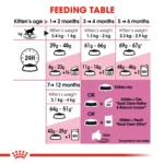 Royal Canin Second Age Kitten Dry food - Image 6