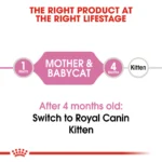 Royal Canin Mother & Babycat dry food - Image 2