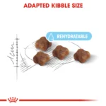 Royal Canin Mother & Babycat dry food - Image 4