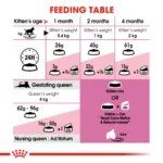 Royal Canin Mother & Babycat dry food - Image 5