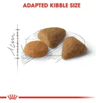 Royal Canin Exigent Savour Fussy Cats dry food - Image 3