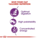 Royal Canin Sensible 33 dry for for sensitive adult cats - Image 2