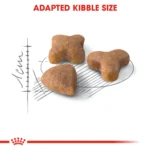 Royal Canin Sensible 33 dry for for sensitive adult cats - Image 3