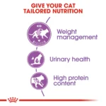 Royal Canin Sterilized 37 dry food for adult cats - Image 3