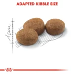 Royal Canin Sterilized 37 dry food for adult cats - Image 4