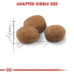 Royal Canin Sterilised 7+dry food for neutered cats over 7 years old 1.5 Kg - Image 6