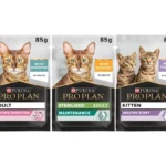 Purina Pro Plan Wet Cat Food, in Gravy 85g