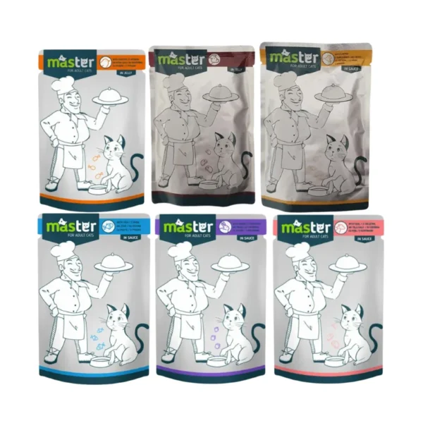 Master Wet Food For Cat In Gravy 80g