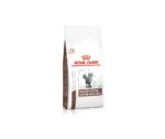 Royal Canin Gastrointestinal dry food for cat