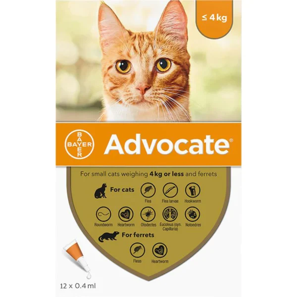 Advocate Anti-Fleas & Ticks Solution For Cat - 1 Pipette