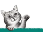 Sani Cat Clumping Cat Litter - Image 2