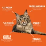 legends Adult Cat Food - Image 2
