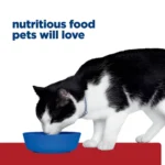 Hill's Prescription Diet i/d Digestive Care Cat Food - Image 3