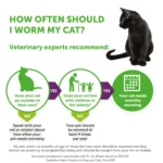 Drontal Tablet For Cats - 1 Tablet - Image 4