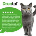 Drontal Tablet For Cats - 1 Tablet - Image 6