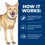 Hill's i/d Chicken Flavor Dog Food - Image 4