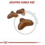 Royal Canin Lightweight care dry food for adult cats 1.5 Kg - Image 2