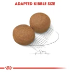 Royal Canin Maxi Adult - Dog Dry food - Image 2