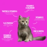 legends Kitten Cat Food - Image 2